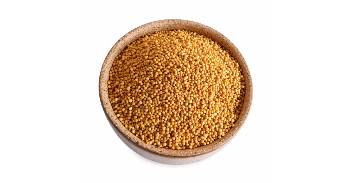 Organic Whole Mustard Yellow | 100g