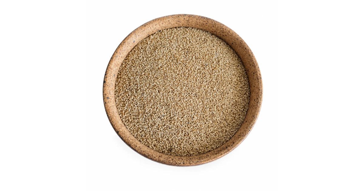 Organic Poppy Seed | 50g