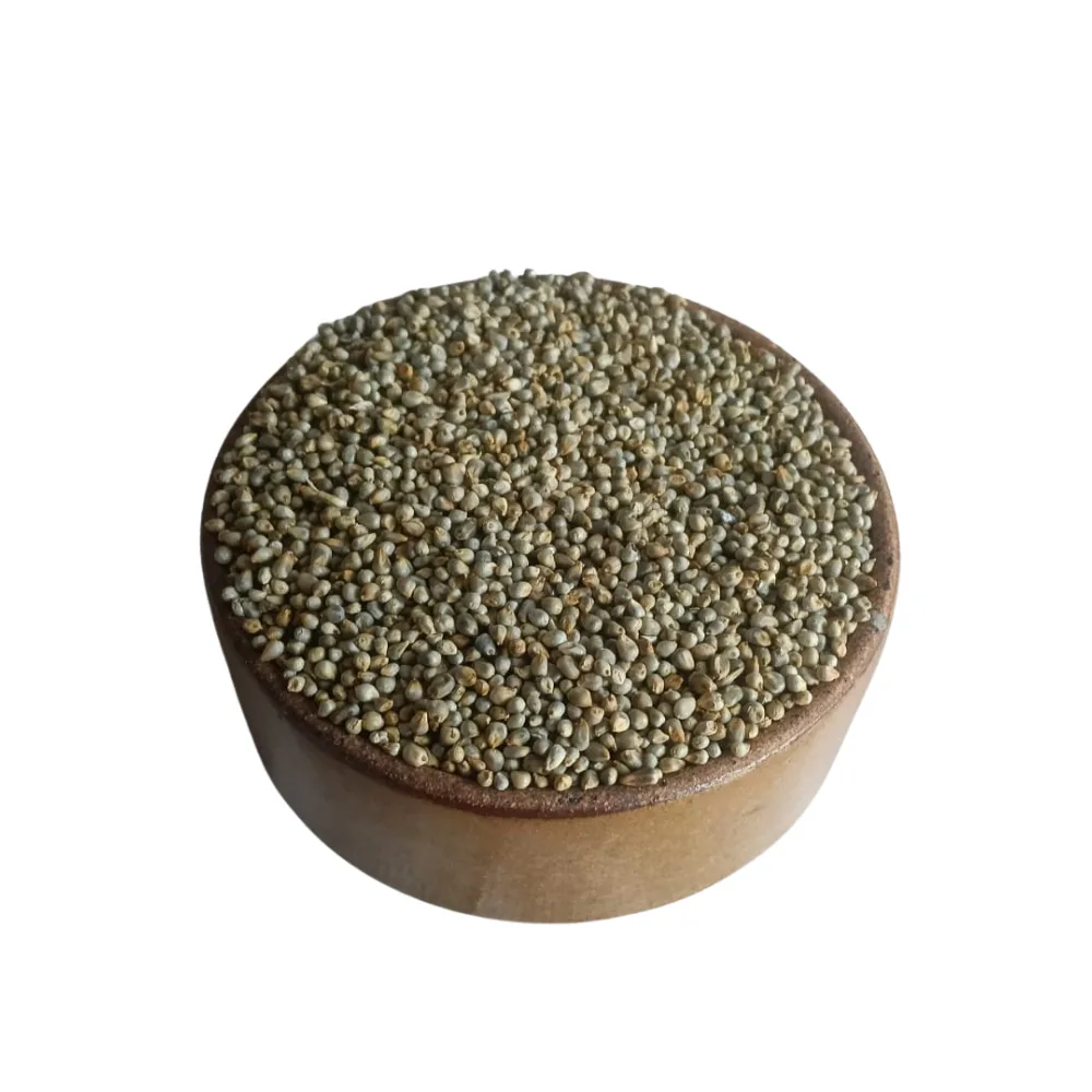Pearl Millet | Nutritious Bajra Grain Rich in Fibre & Plant Protein | 1kg