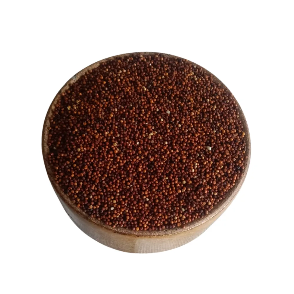 Finger Millet | Traditional Ragi for Calcium-Rich Everyday Nutrition | 1 kg