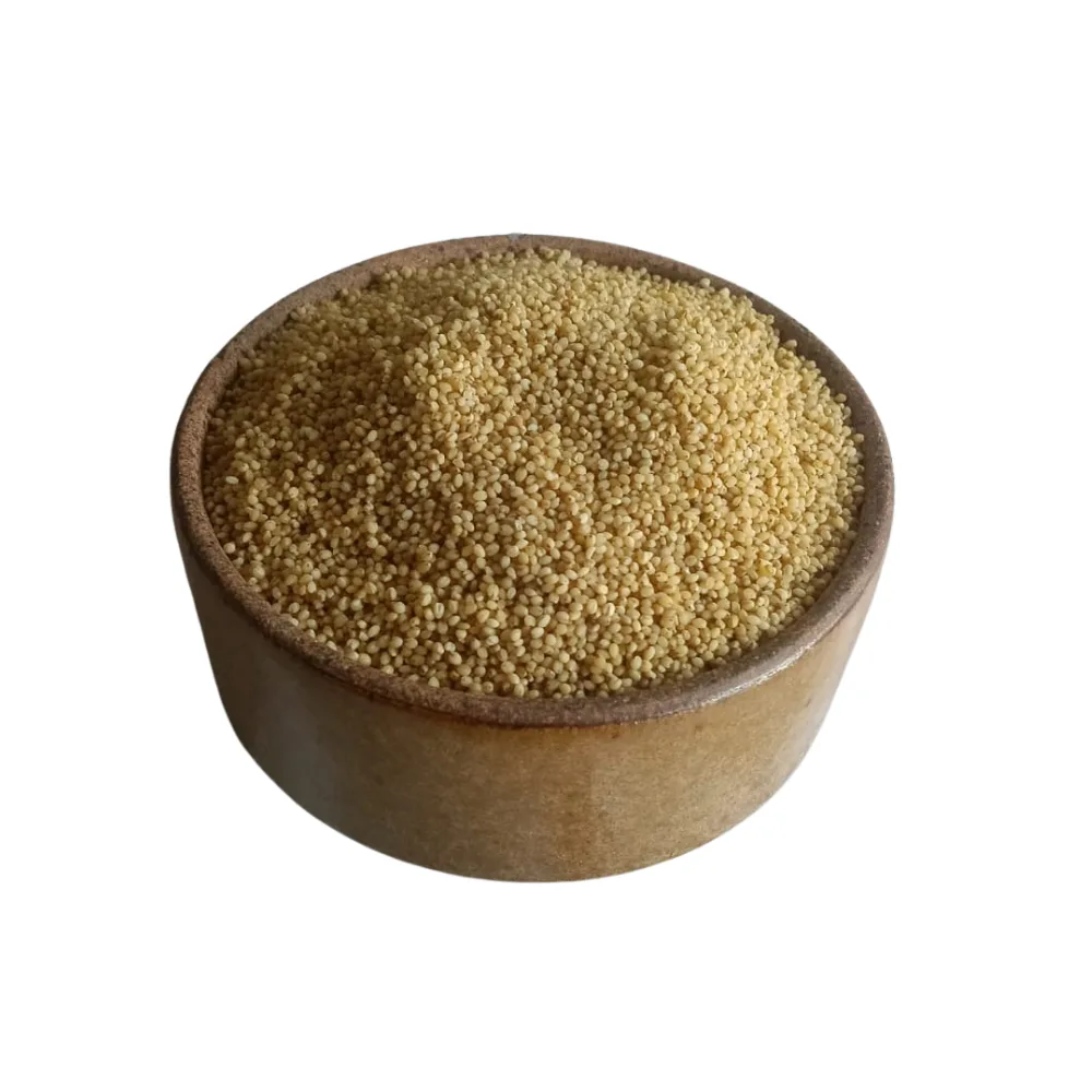 Foxtail Millet | Nutritious Thinai Grain for Healthy Everyday Meals | 500g